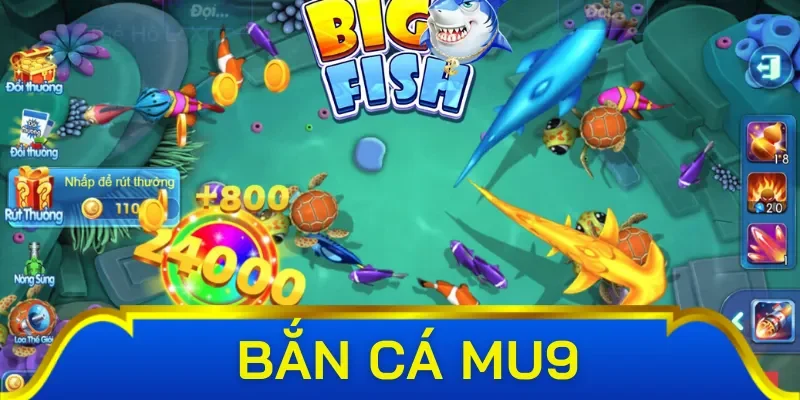 Cách tham gia bắn cá Mu9 hiệu quả cho tân thủ