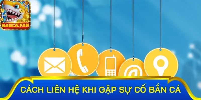 Giới thiệu chung về liên hệ bắn cá