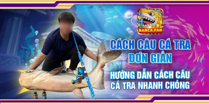 Cách Câu Cá Tra Đơn Giản – Hướng Dẫn Cách Câu Nhanh Chóng