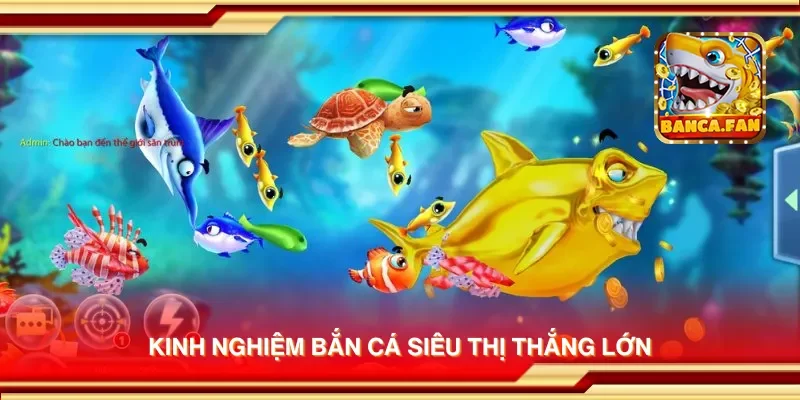 Kinh nghiệm bắn cá siêu thị thắng lớn