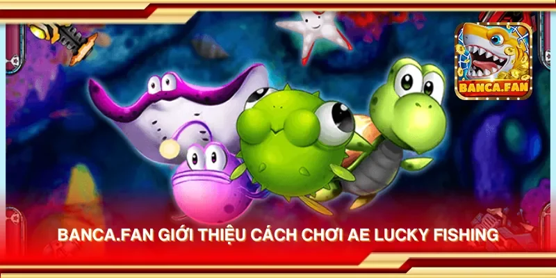 bancadoithuong.io giới thiệu cách chơi AE Lucky Fishing