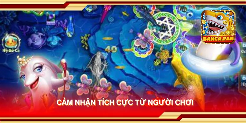 Cảm nhận tích cực từ người chơi