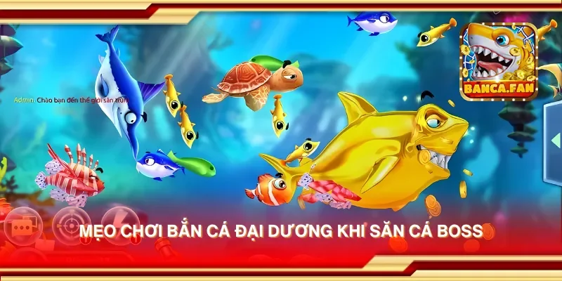 Mẹo Chơi Bắn Cá Đại Dương Giúp Bạn Chiến Thắng Dễ Dàng